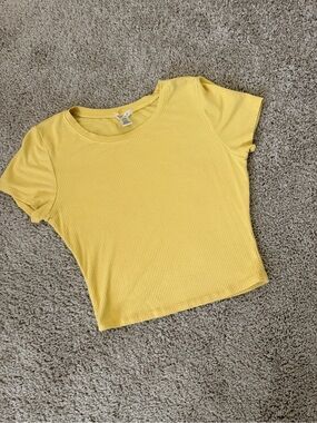 Bozzolo Ribbed Crewneck Crop Top, Large